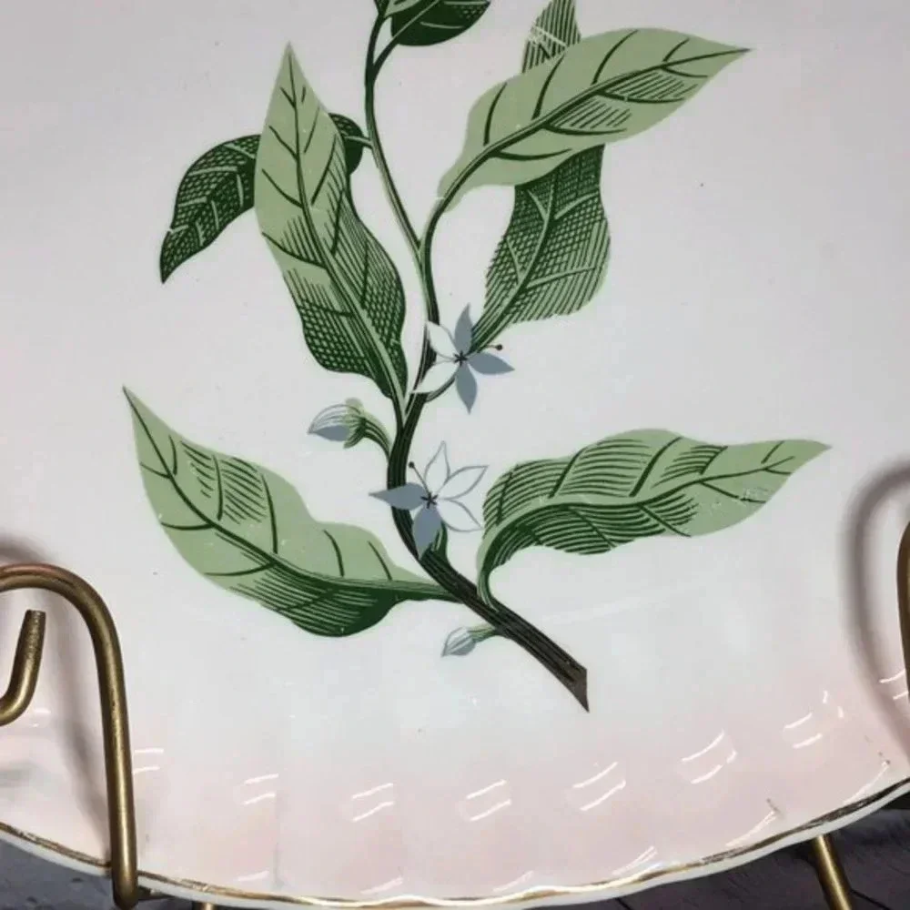 vtg 1950s W.S. GEORGE Bolero Dinnerware Cottagecore floral mid-century classic